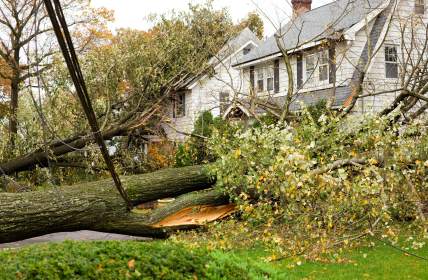 Storm damage restoration in Vadnais Heights by Ultra Clean Service Corporation