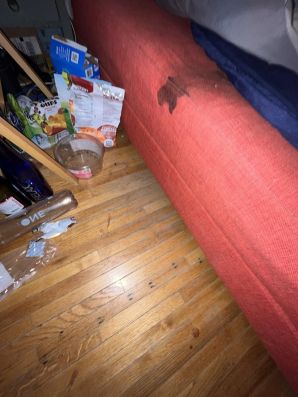 Biohazard Cleanup in Minneapolis, MN (2)