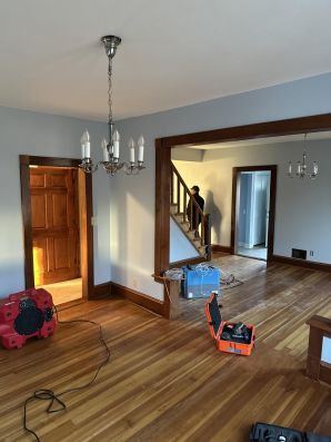Mold Remediation in Brooklyn Park, MN (2)
