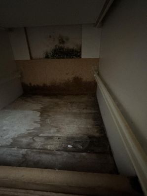 Mold Remediation in Minneapolis, MN (1)