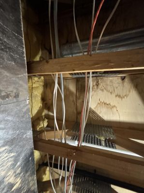 Mold Remediation in Minneapolis, MN (2)