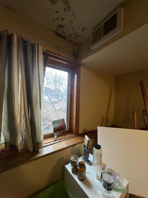 Mold Remediation in Blaine, MN (1)