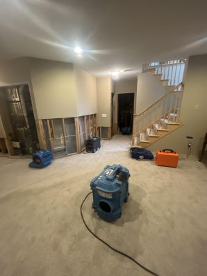 Water Damage Restoration in Blaine, MN (3)